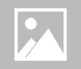 8868体育官网-【布鲁克林网事】时隔91天三巨头再合体 合砍39分？